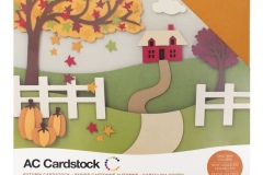 AC Textured Cardstock