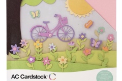 AC Textured Cardstock