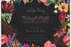 Craft Consortium - Midnight Flight