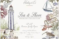 Craft Consortium - Sea & Shore