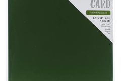Mirror Card