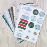 Issue #4 Papers & Toppers